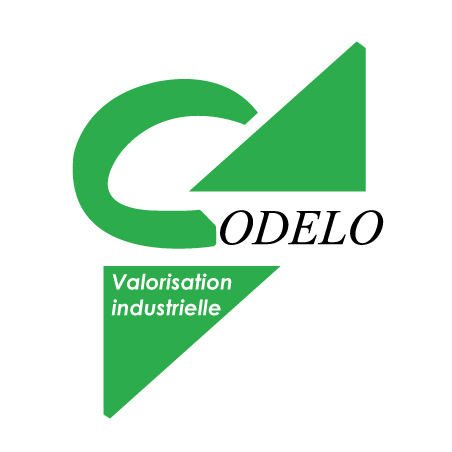 logo_codelo-vert